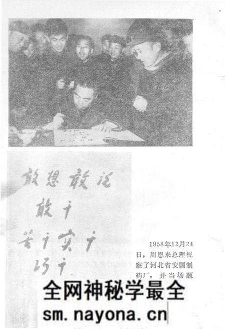 《中国中药大事记 1949-1983》.pdf电子版_其他志预览图5