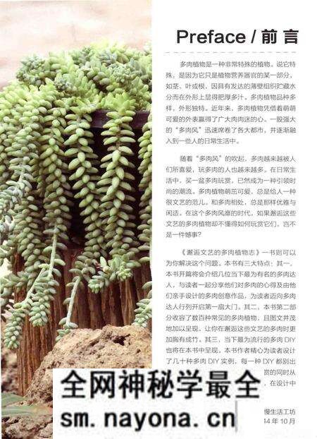 《邂逅文艺的多肉植物志》.pdf电子版_其他志预览图4 《邂逅文艺的多肉植物志》.pdf电子版_其他志预览图4