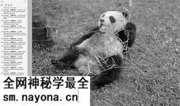 《哈里森.福尔曼的中国摄影集》1930年代 影集下载预览图7 《哈里森.福尔曼的中国摄影集》1930年代 影集下载预览图7