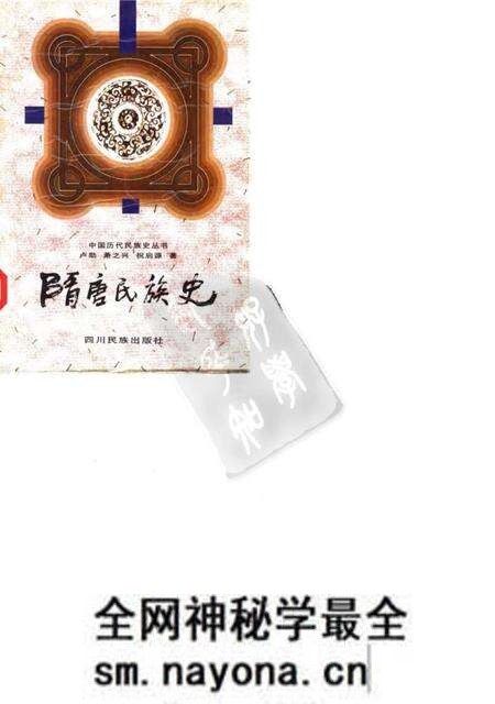 《隋唐民族史》.pdf电子版_其他志预览图