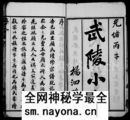江苏顾氏族谱-顾氏分编支谱 ： [8卷](别名：顾氏宗谱).pdf电子版预览图2