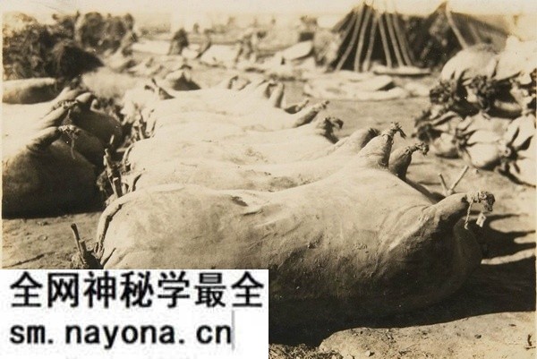 1930年内蒙古包头老照片 包头镇及五当召预览图3