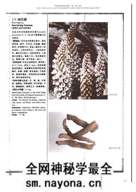 《中华人民共和国药典中药彩色图集_部分2》.pdf电子版_其他志预览图2 《中华人民共和国药典中药彩色图集_部分2》.pdf电子版_其他志预览图2