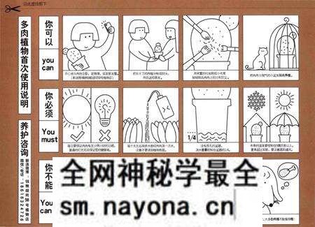 《邂逅文艺的多肉植物志》.pdf电子版_其他志预览图5 《邂逅文艺的多肉植物志》.pdf电子版_其他志预览图5