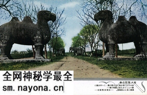 抗战期间日本发行的彩色明信片:南京点描预览图2 抗战期间日本发行的彩色明信片:南京点描预览图2