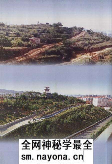 《烟台市芝车罘区小东夼村志(1652-2007)》.pdf电子版_山东省志预览图4