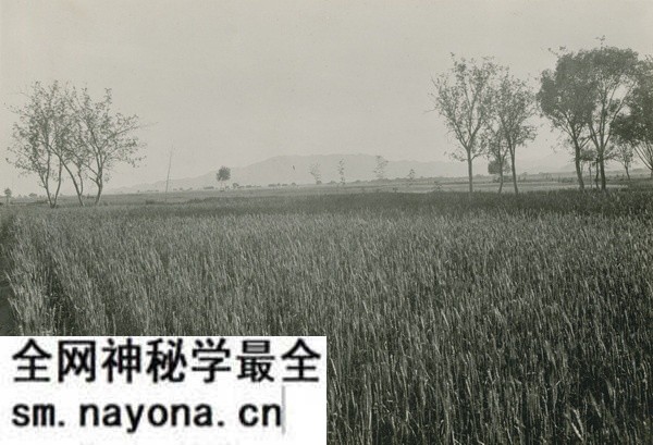 1909年张伯林中国行 5月15日-16日石家庄照片预览图3 1909年张伯林中国行 5月15日-16日石家庄照片预览图3