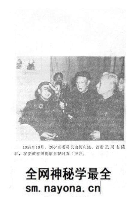 《中国中药大事记 1949-1983》.pdf电子版_其他志预览图4