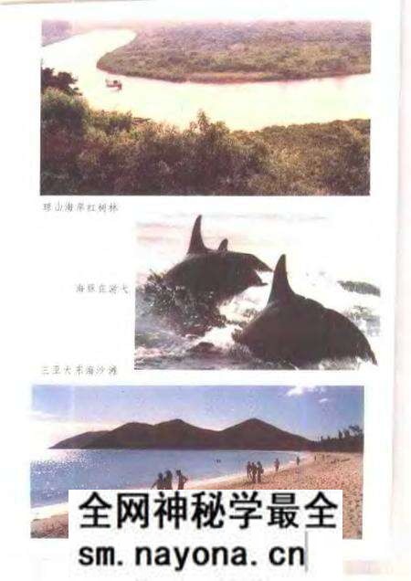《岭南海洋国土》.pdf电子版_其他志预览图5