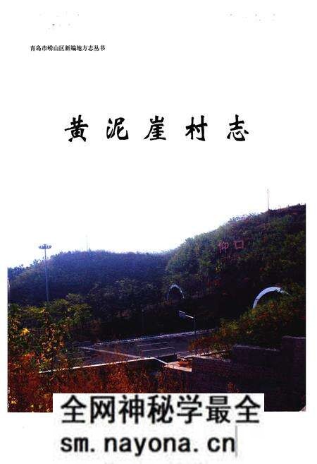 《黄泥崖村志》.pdf电子版_山东省志预览图1