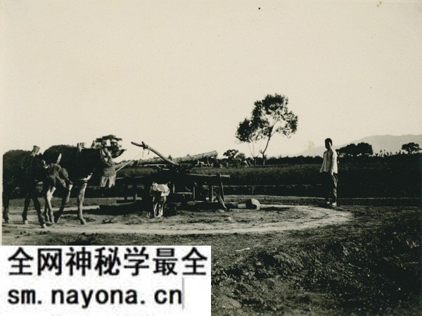 1909年张伯林中国行 5月15日-16日石家庄照片预览图5 1909年张伯林中国行 5月15日-16日石家庄照片预览图5
