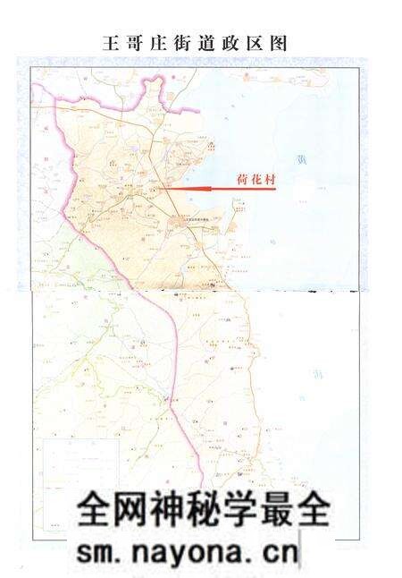 《荷花村志》.pdf电子版_山东省志预览图2 《荷花村志》.pdf电子版_山东省志预览图2