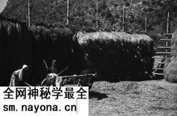 1940年甘肃临潭老照片 洮河边上临潭城乡风貌预览图3 1940年甘肃临潭老照片 洮河边上临潭城乡风貌预览图3