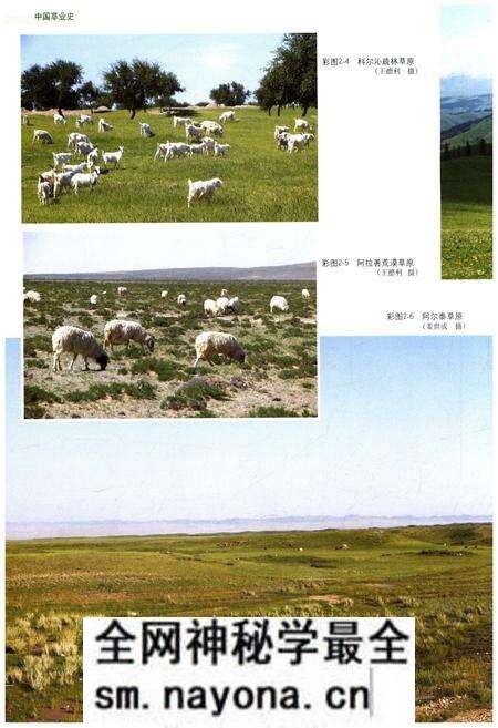 《中国草业史》.pdf电子版_其他志预览图4 《中国草业史》.pdf电子版_其他志预览图4