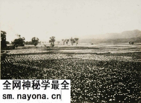 1933年兰州老照片 民国兰州城市内外历史风貌预览图2 1933年兰州老照片 民国兰州城市内外历史风貌预览图2