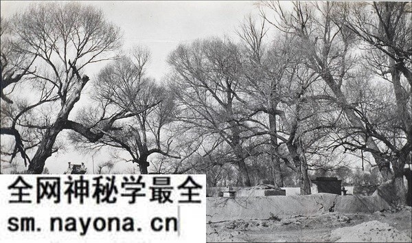 1910年莫理循西北行(5)肃州(酒泉)篇预览图2 1910年莫理循西北行(5)肃州(酒泉)篇预览图2