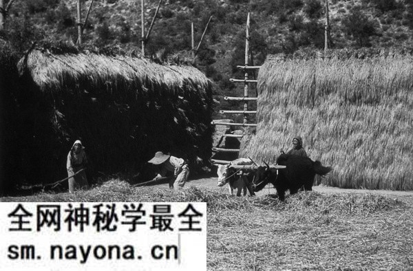 1940年甘肃临潭老照片 洮河边上临潭城乡风貌预览图5 1940年甘肃临潭老照片 洮河边上临潭城乡风貌预览图5