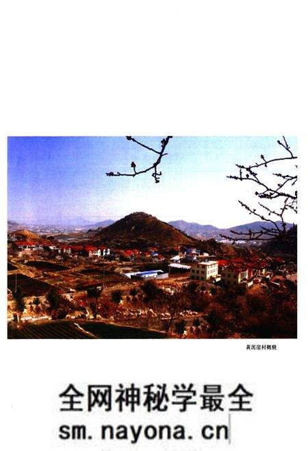 《黄泥崖村志》.pdf电子版_山东省志预览图4