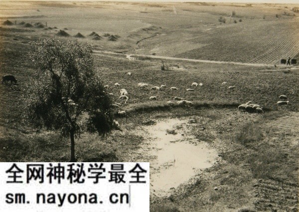 1929年山海关老照片 百年前山海关内外真实风貌预览图7 1929年山海关老照片 百年前山海关内外真实风貌预览图7