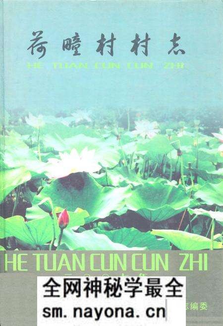 《荷疃村村志》.pdf电子版_山东省志预览图 《荷疃村村志》.pdf电子版_山东省志预览图