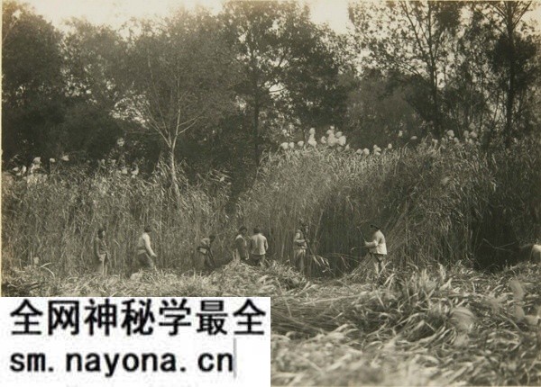 1931年镇江老照片 甘露寺|金山寺|焦山预览图2 1931年镇江老照片 甘露寺|金山寺|焦山预览图2