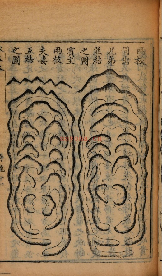 严陵张九仪增释地理琢玉斧峦头歌括