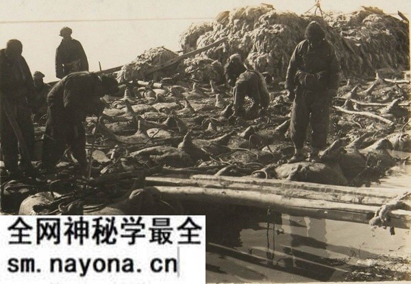 1930年内蒙古包头老照片 包头镇及五当召预览图2