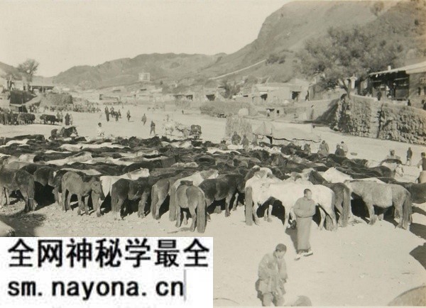 1924年张家口老照片 百年前的张家城市内外风貌预览图4 1924年张家口老照片 百年前的张家城市内外风貌预览图4