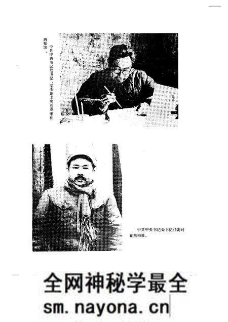 《淮海战役综述文献图表大事记》.pdf电子版_其他志预览图2 《淮海战役综述文献图表大事记》.pdf电子版_其他志预览图2