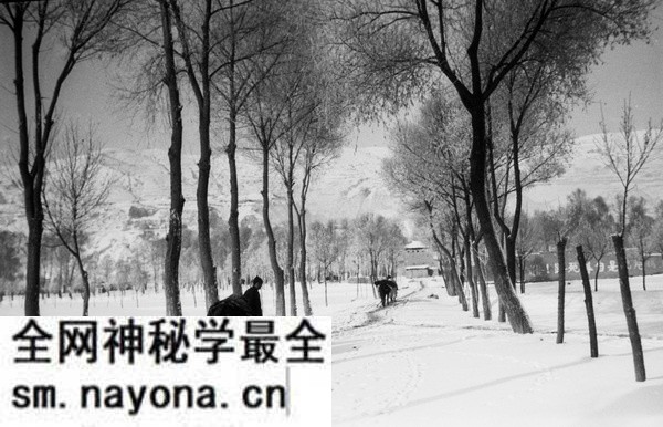 1930年代海映光拍摄的甘肃临洮狄道老照片预览图 1930年代海映光拍摄的甘肃临洮狄道老照片预览图