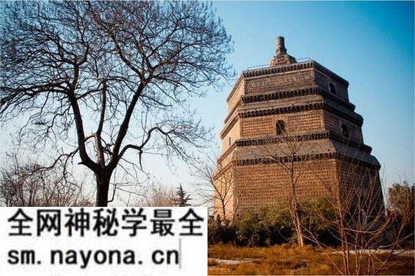1906年后开封老照片 龙亭|繁塔|佑国寺|大相国寺预览图5 1906年后开封老照片 龙亭|繁塔|佑国寺|大相国寺预览图5