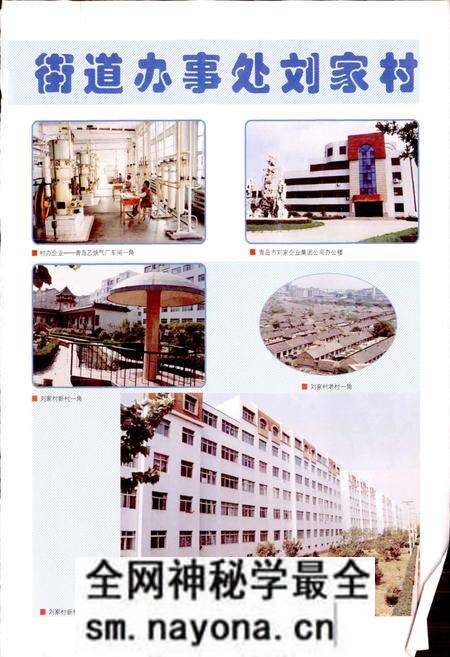 《山东强镇名村志》.pdf电子版_山东省志预览图1 《山东强镇名村志》.pdf电子版_山东省志预览图1