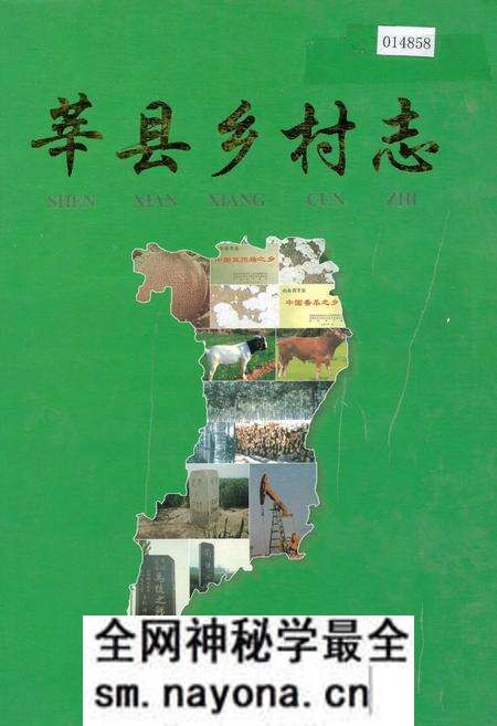 《莘县乡村志》.pdf电子版_山东省志预览图