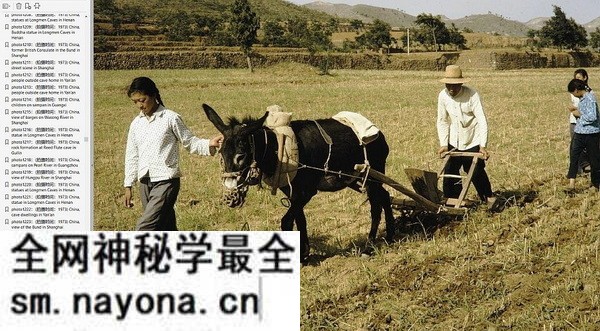 《哈里森.福尔曼的中国摄影集》1930年代 影集下载预览图5 《哈里森.福尔曼的中国摄影集》1930年代 影集下载预览图5