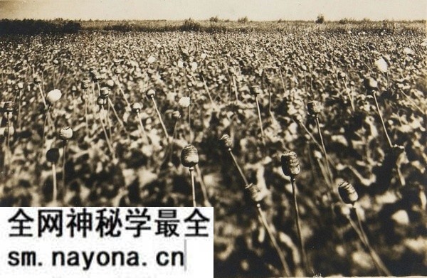 1935年黑龙江虎林、倒木沟及兴凯湖老照片预览图3 1935年黑龙江虎林、倒木沟及兴凯湖老照片预览图3