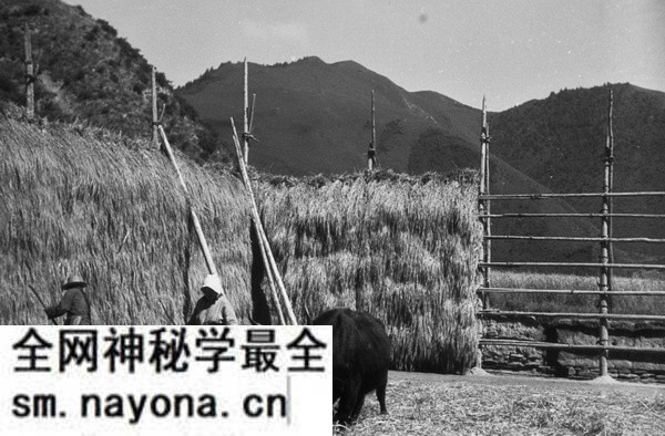 1940年甘肃临潭老照片 洮河边上临潭城乡风貌预览图1