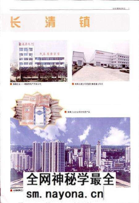 《山东强镇名村志》.pdf电子版_山东省志预览图5 《山东强镇名村志》.pdf电子版_山东省志预览图5