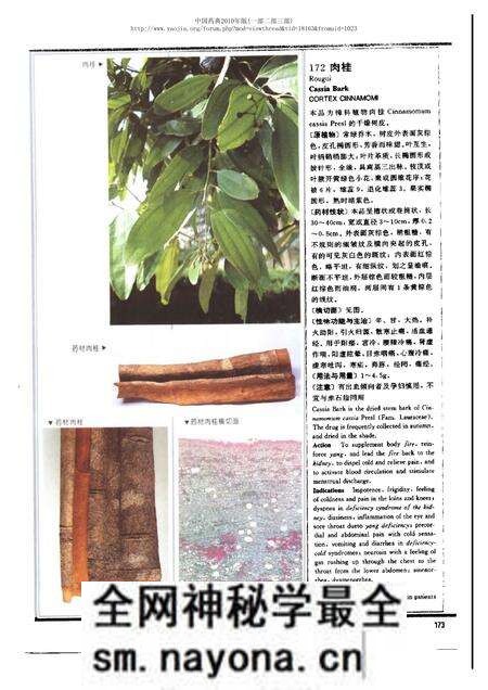 《中华人民共和国药典中药彩色图集_部分2》.pdf电子版_其他志预览图3 《中华人民共和国药典中药彩色图集_部分2》.pdf电子版_其他志预览图3