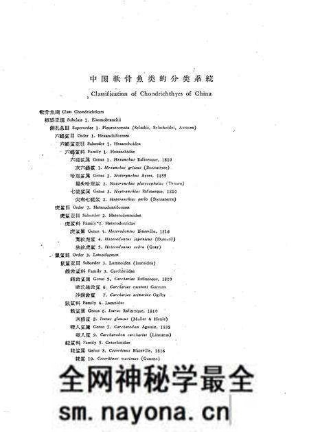 《中国软骨鱼类志》.pdf电子版_其他志预览图4 《中国软骨鱼类志》.pdf电子版_其他志预览图4
