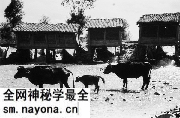 1930年代海映光拍摄的甘肃临洮狄道老照片预览图21 1930年代海映光拍摄的甘肃临洮狄道老照片预览图21