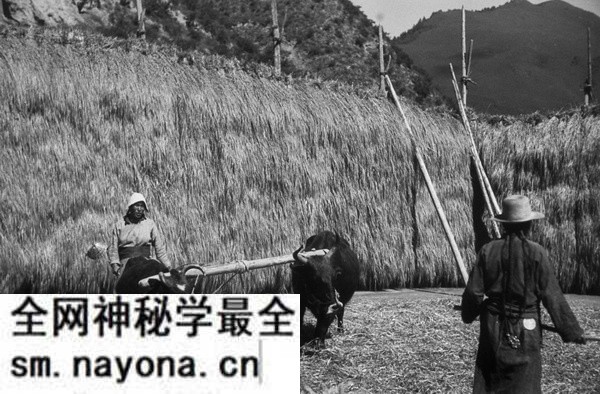 1940年甘肃临潭老照片 洮河边上临潭城乡风貌预览图2 1940年甘肃临潭老照片 洮河边上临潭城乡风貌预览图2