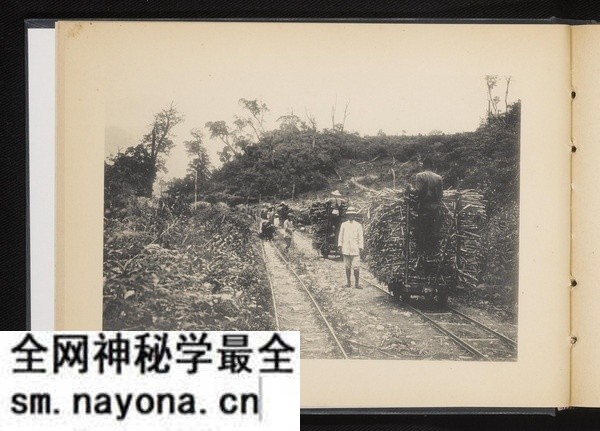 《台湾制糖株式会社写真帖》1923年 影集下载预览图7 《台湾制糖株式会社写真帖》1923年 影集下载预览图7