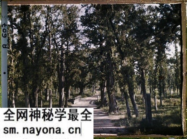 1912年曲阜老照片 孔子故里百年前彩色影像(上)预览图2 1912年曲阜老照片 孔子故里百年前彩色影像(上)预览图2