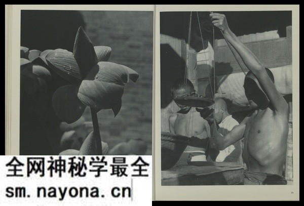 《中国》摄影集 1946年 海伦娜·哈佩诺特 影集下载预览图4 《中国》摄影集 1946年 海伦娜·哈佩诺特 影集下载预览图4