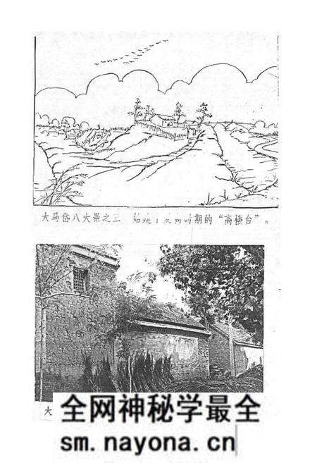 《大马岱村志》.pdf电子版_山东省志预览图4 《大马岱村志》.pdf电子版_山东省志预览图4