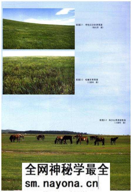 《中国草业史》.pdf电子版_其他志预览图3 《中国草业史》.pdf电子版_其他志预览图3