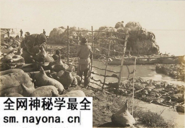 1930年内蒙古包头老照片 包头镇及五当召预览图1