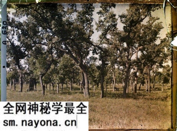 1912年曲阜老照片 孔子故里百年前彩色影像(上)预览图14 1912年曲阜老照片 孔子故里百年前彩色影像(上)预览图14