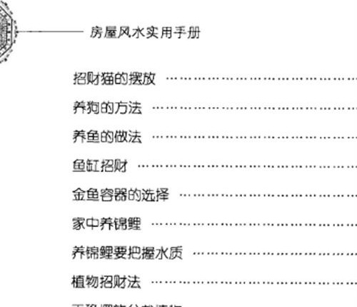 G1683房屋风水实用手册(杨文忠主编)PDF电子书209页