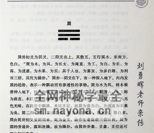 C393安徽相法之王者智慧PDF电子书331页